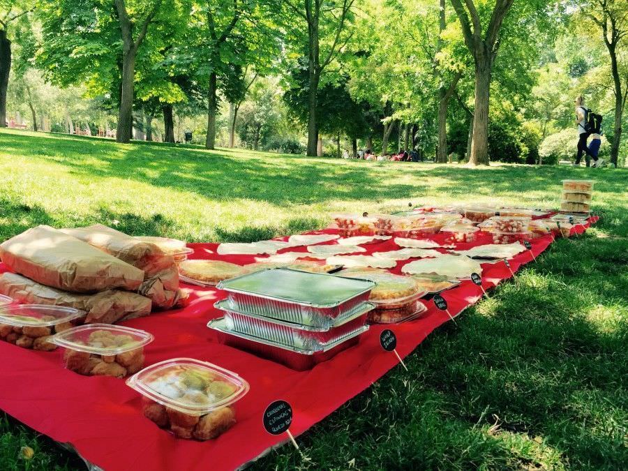 Groups Picnic Madrid